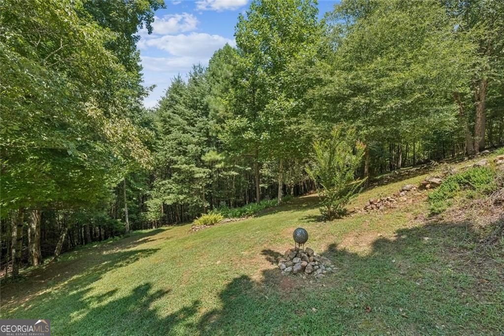 334 Dillons Ridge Road Morganton - 56