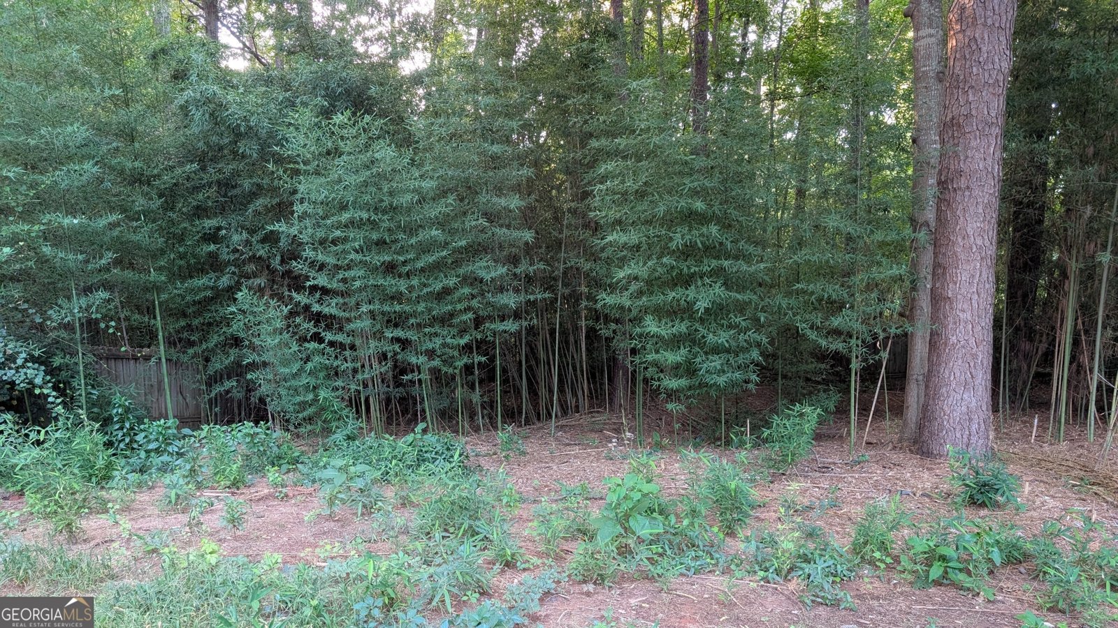 40 Belmont Circle Covington - 41