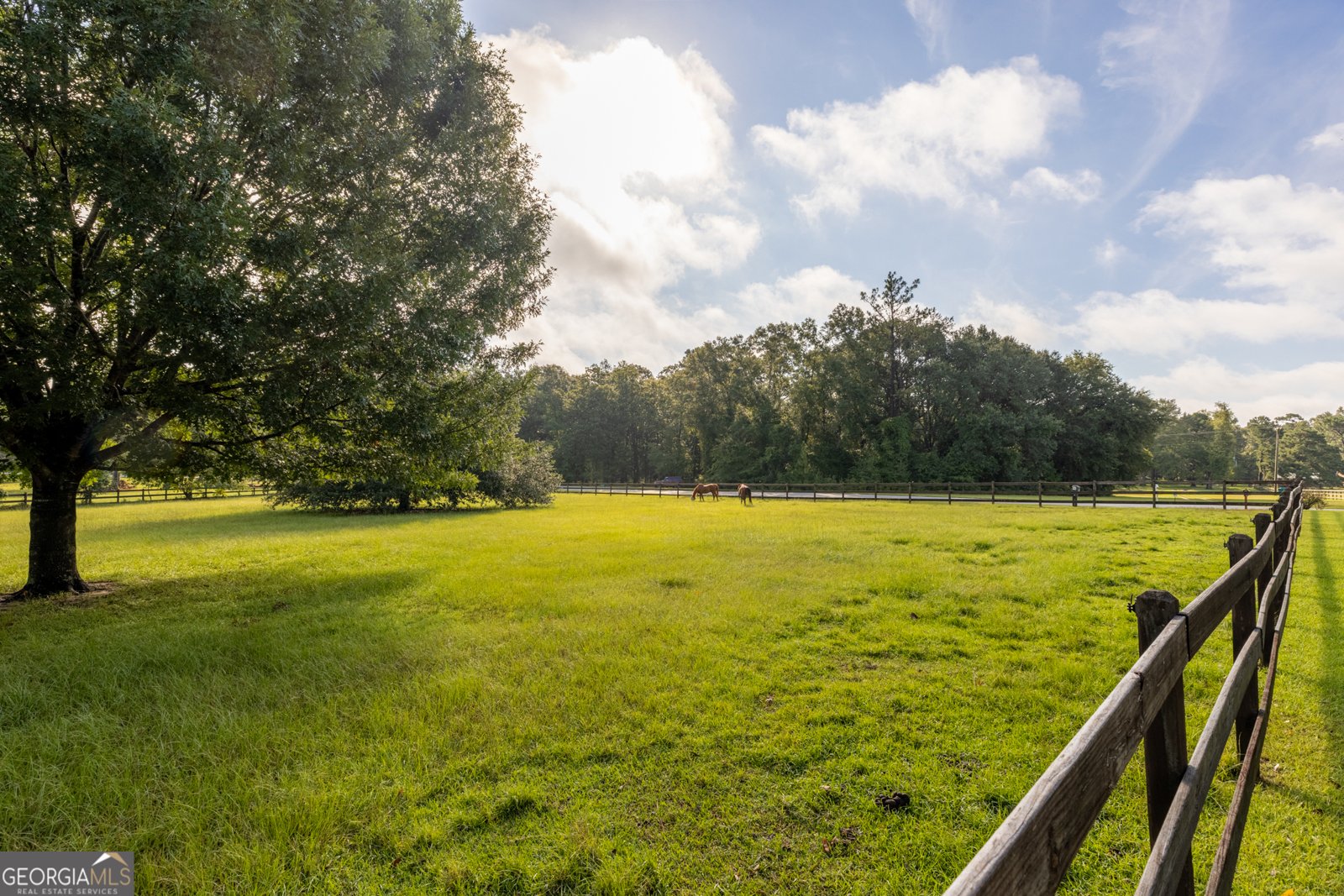 130 winifred Road Leesburg - 34