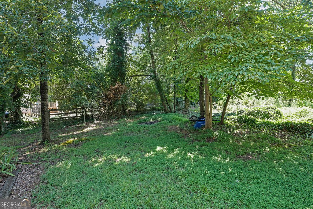 4619 Forest Place Cumming - 25