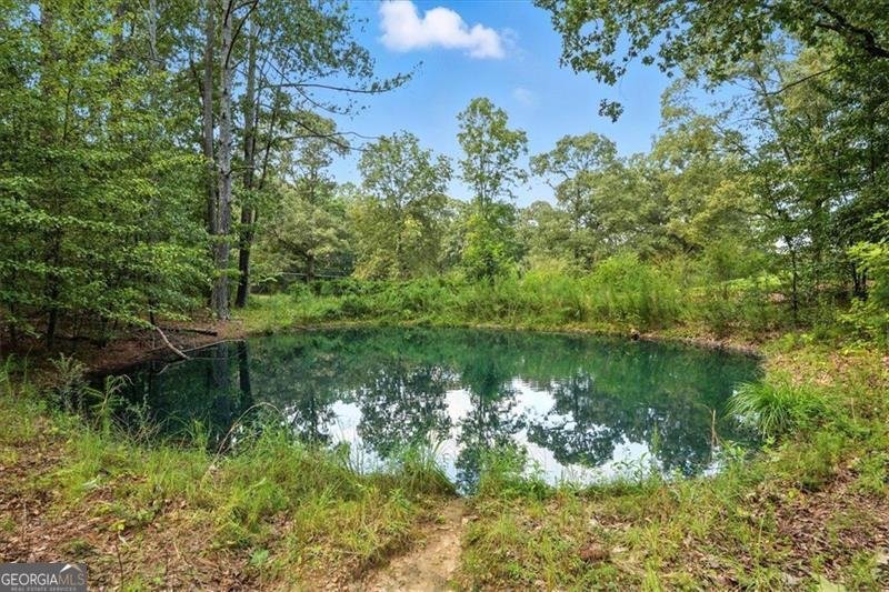 90 HOLLY SPRINGS White - 38