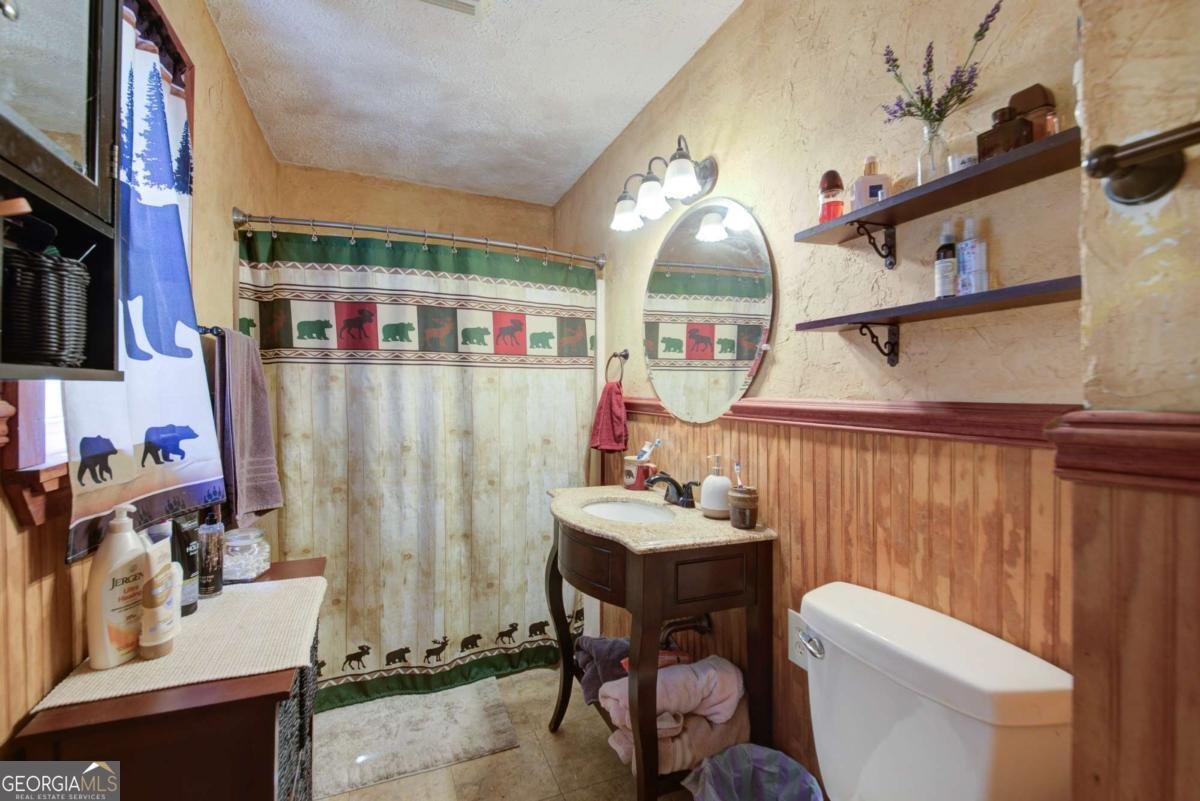 230 Skyview Drive Clarkesville - 13