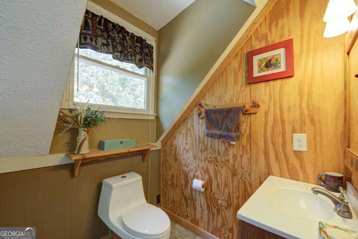 230 Skyview Drive Clarkesville - 16