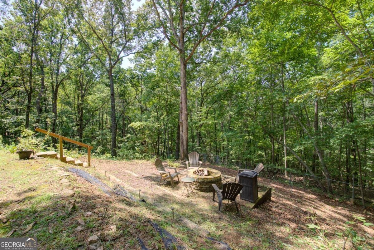 230 Skyview Drive Clarkesville - 19