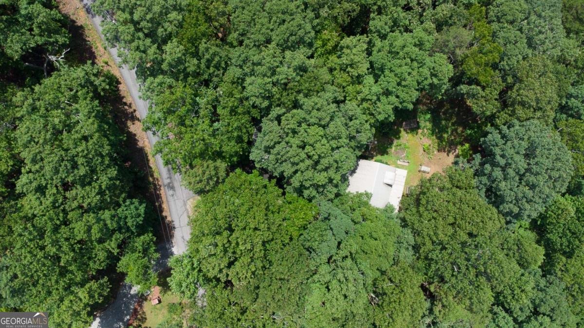 230 Skyview Drive Clarkesville - 20
