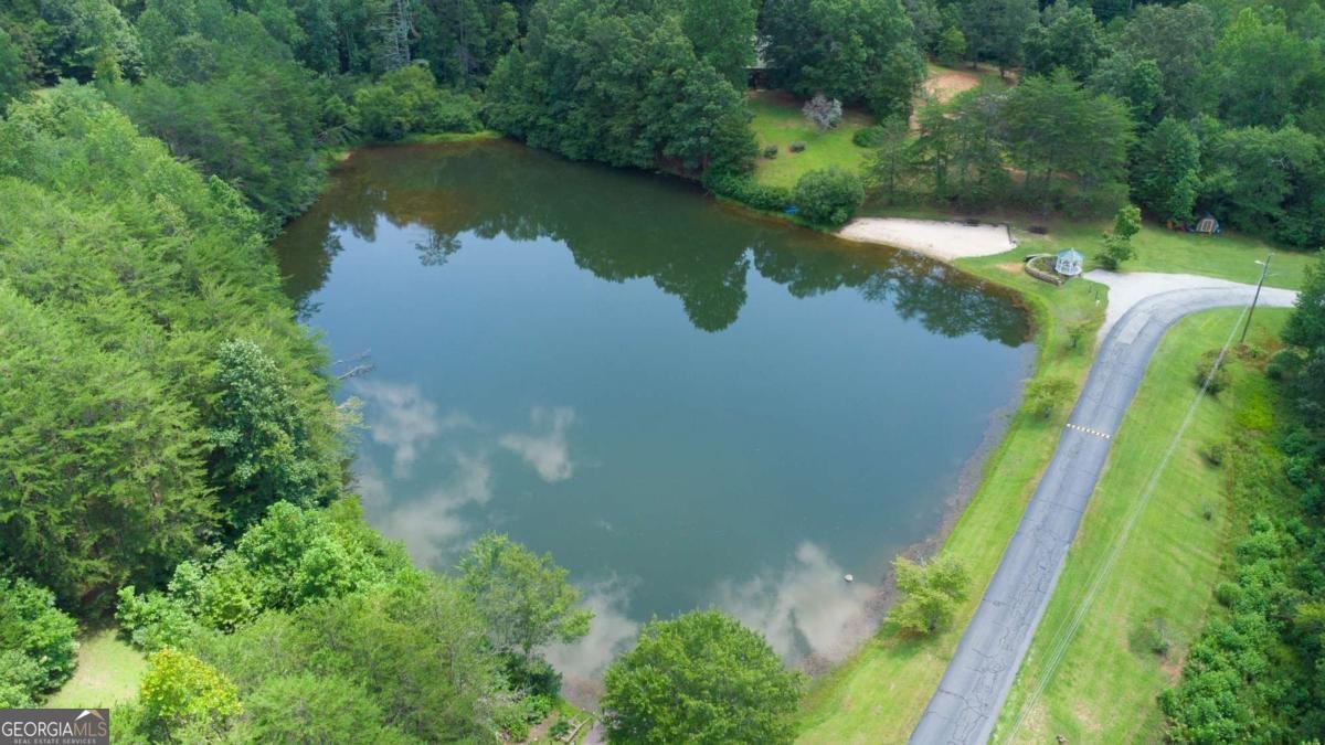 230 Skyview Drive Clarkesville - 21