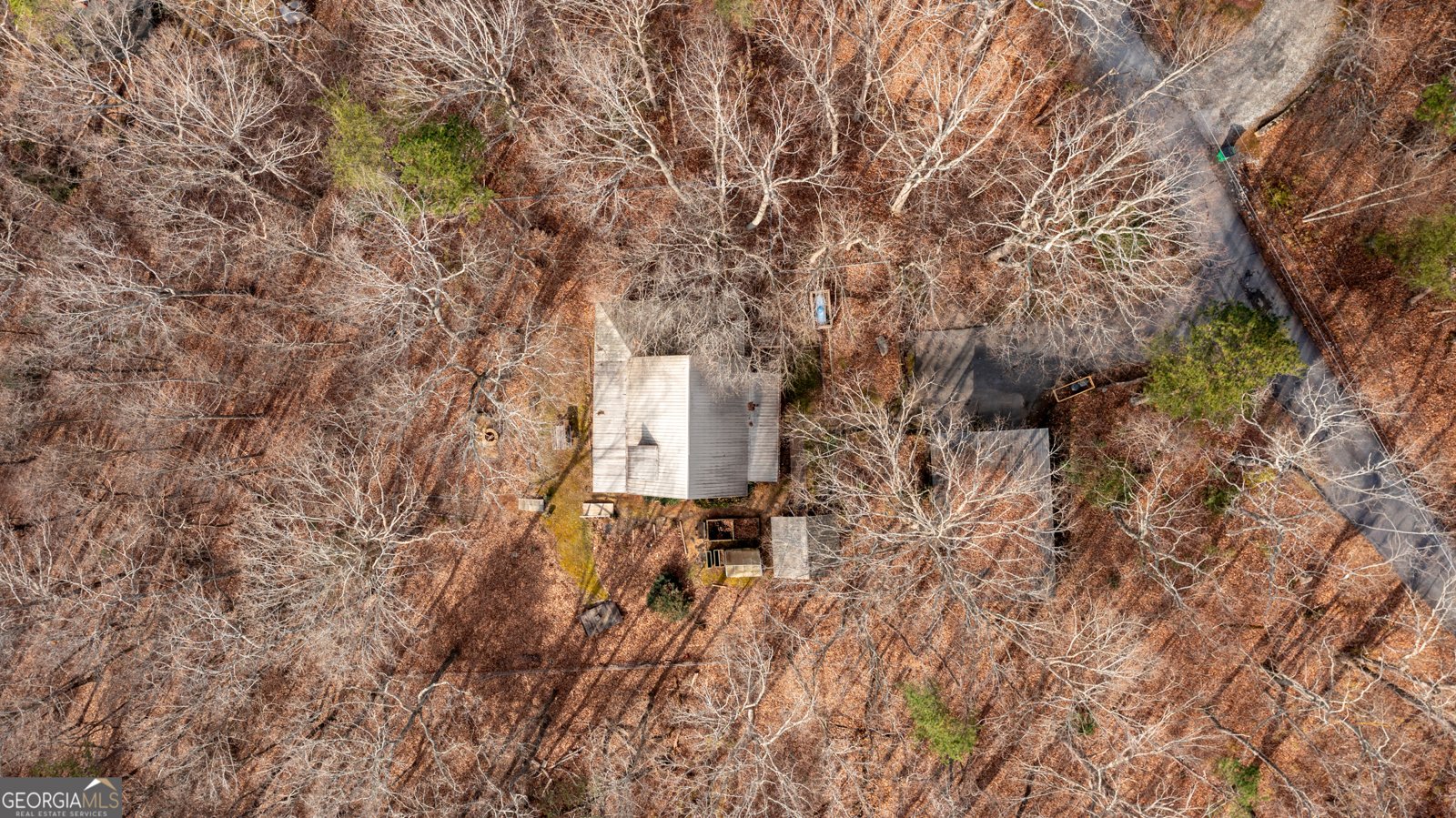 230 Skyview Drive Clarkesville - 33