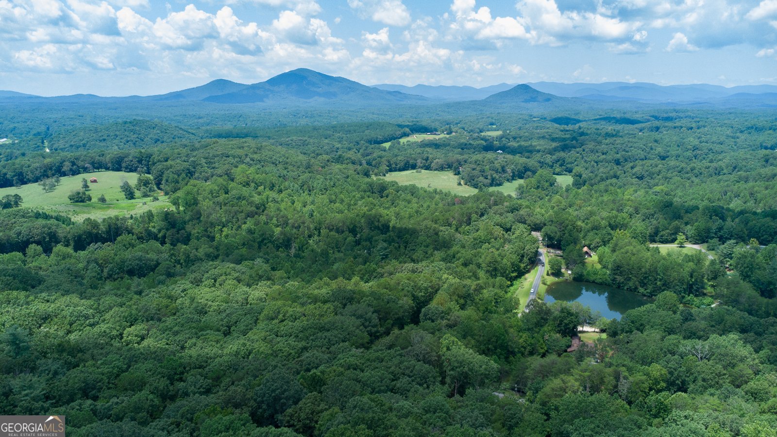 230 Skyview Drive Clarkesville - Photo 41