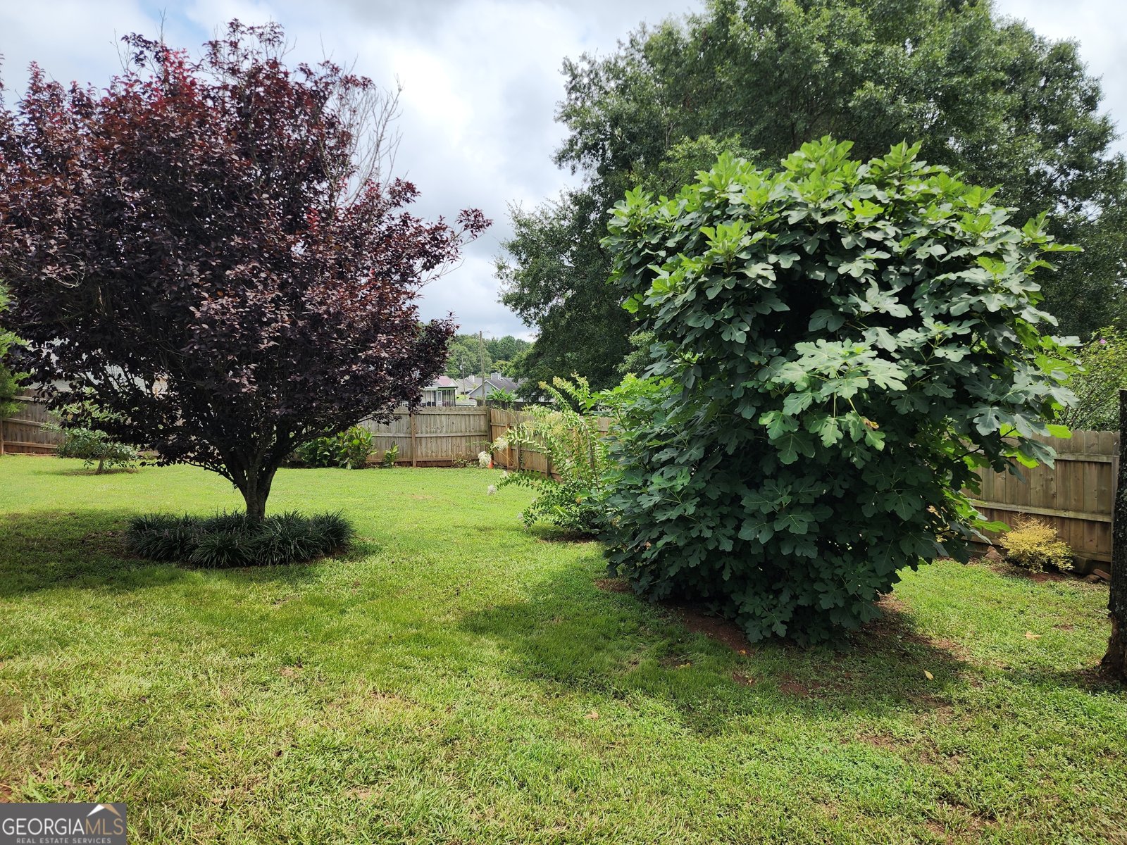 113 Pebble Creek Drive Jackson - 22