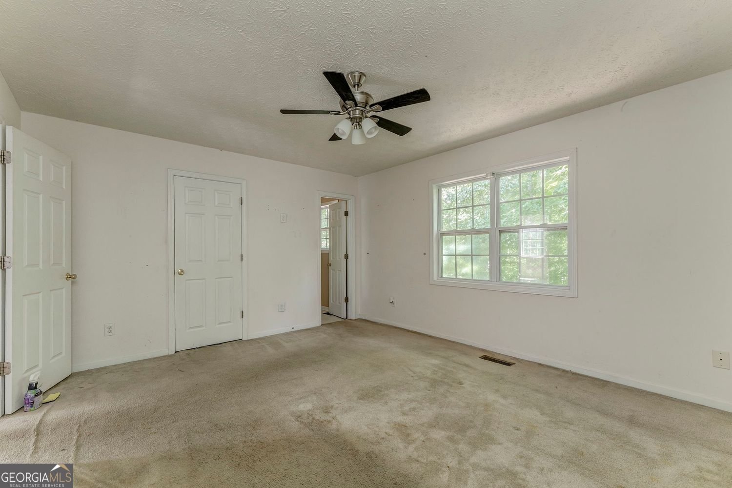 355 Spring Leaf Drive Dallas - 19