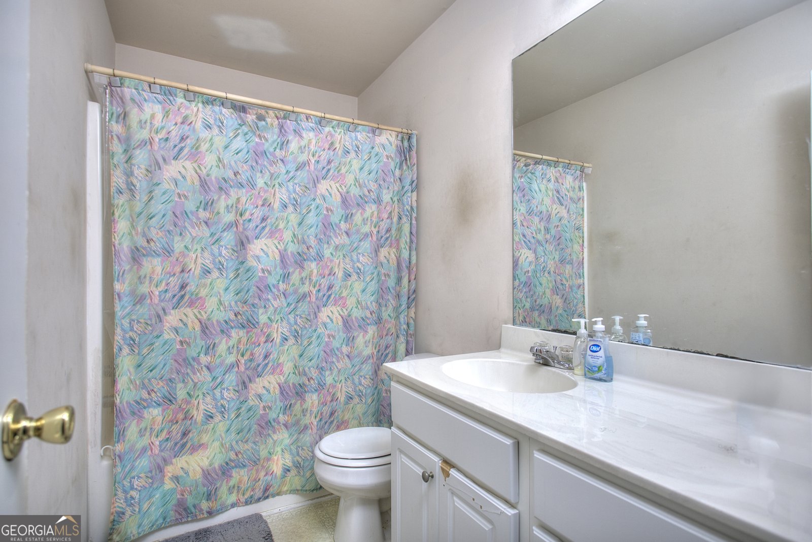 1317 Preserve Park Drive Loganville - 30