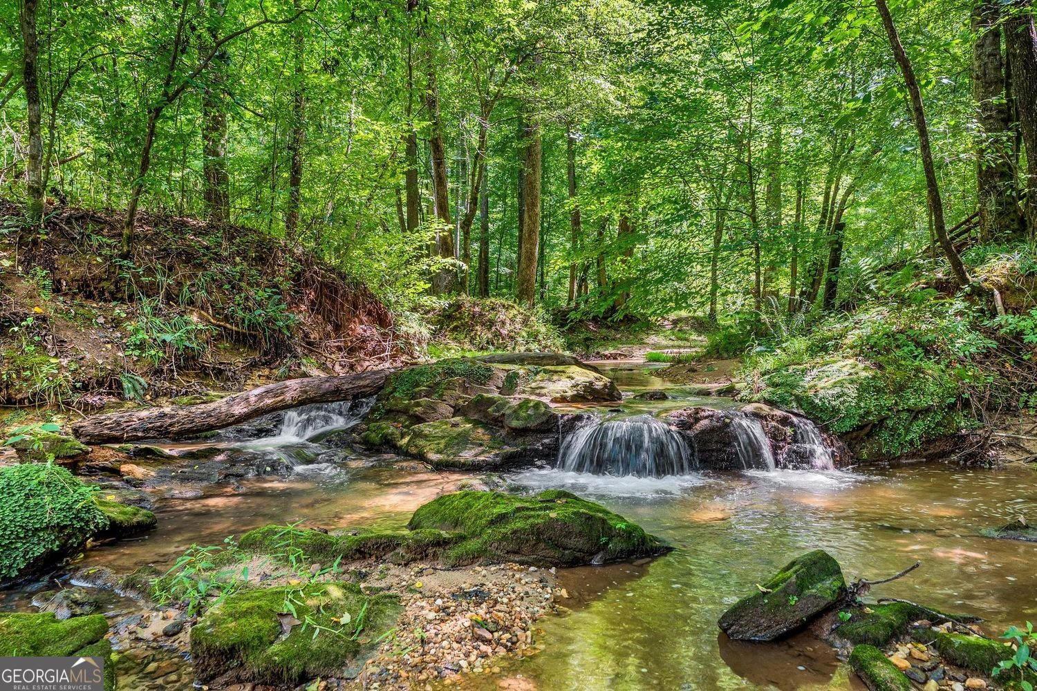 452 Blacks Mill Road Dawsonville - 42