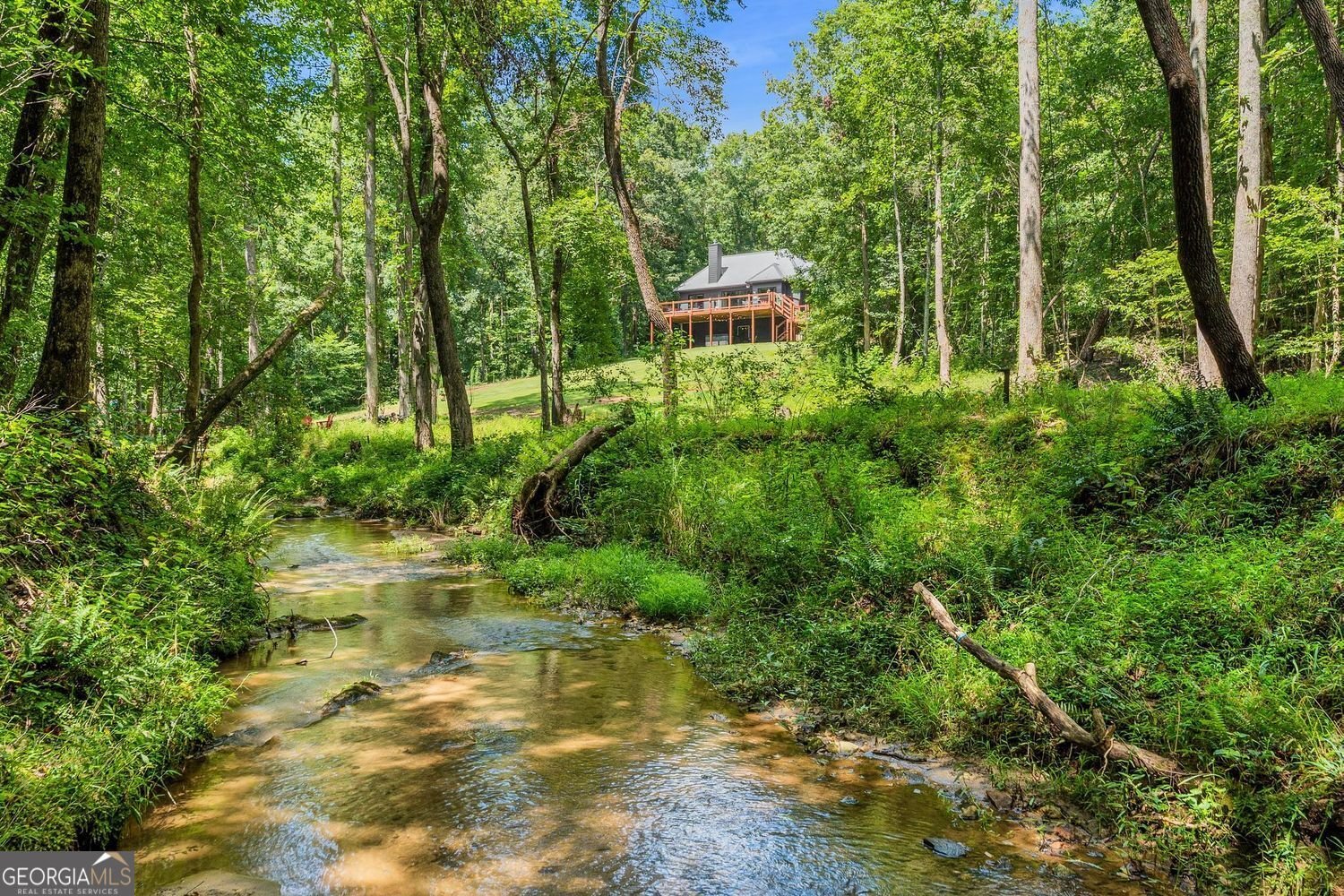 452 Blacks Mill Road Dawsonville - 44