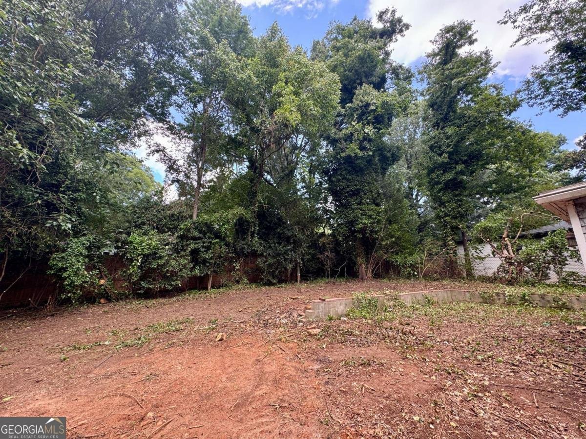 3100 Druid Hills Road Decatur - 58