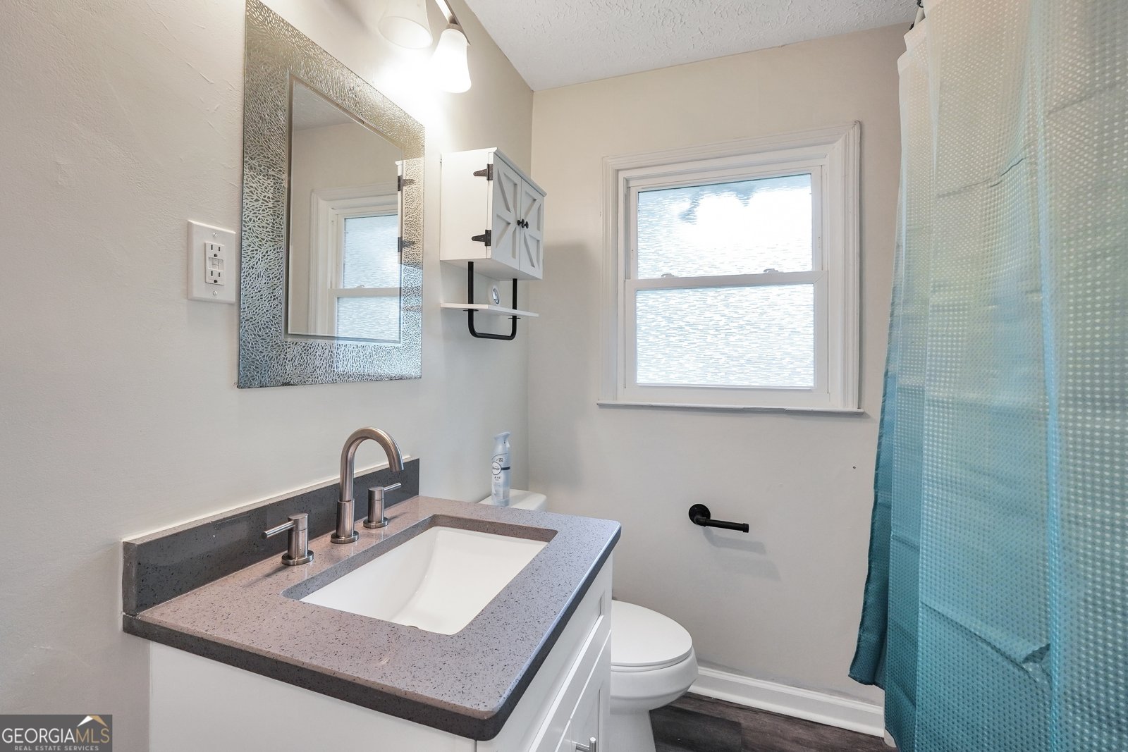 161 Carver Road McDonough - 20