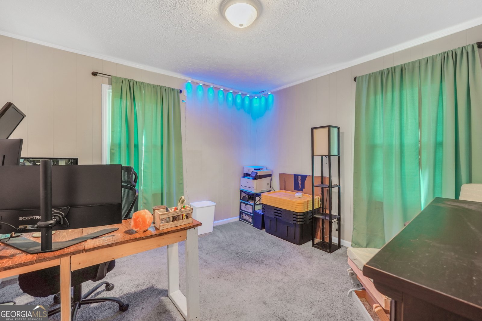 161 Carver Road McDonough - 22