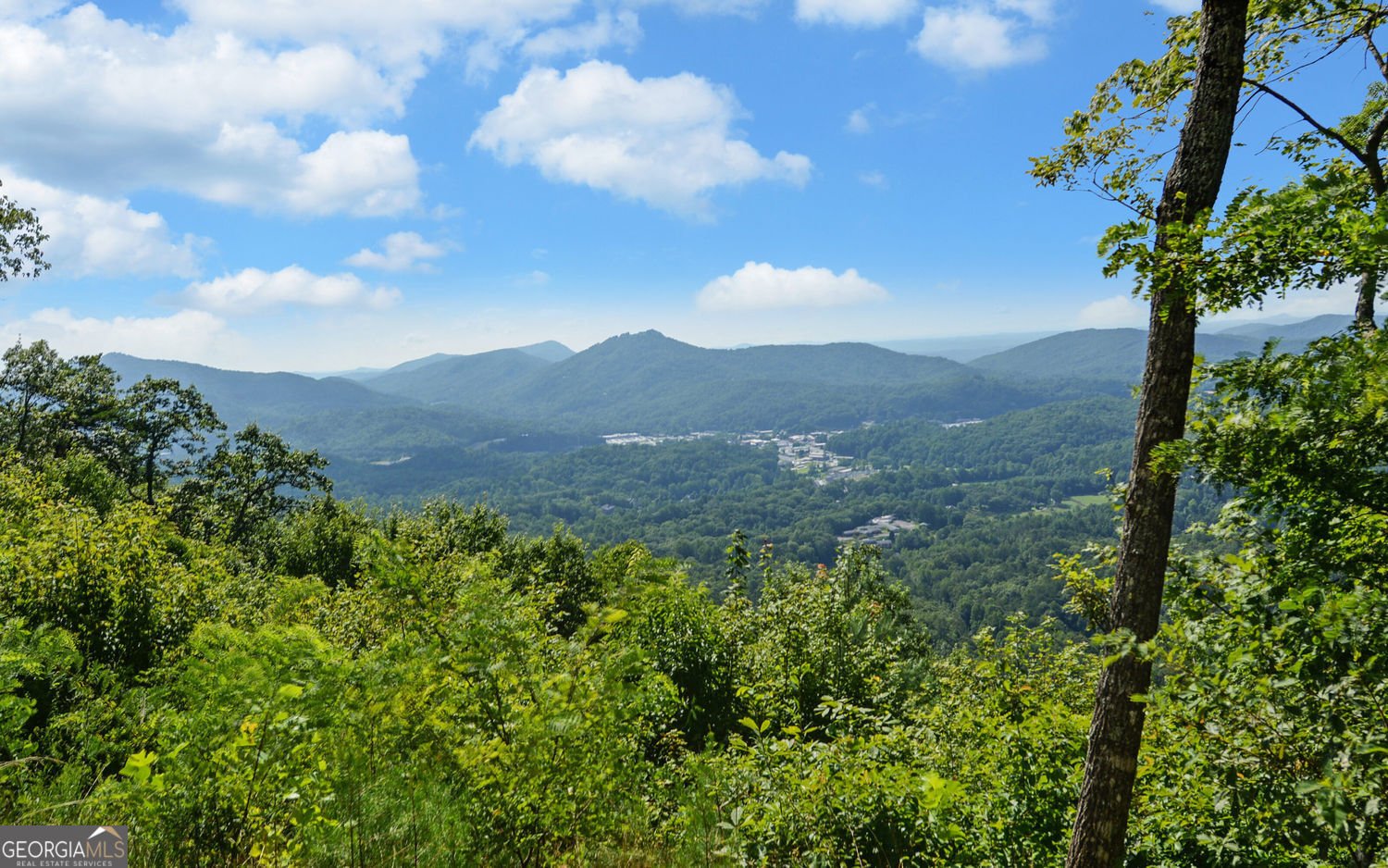 657 Winding View Trail Clayton - 25