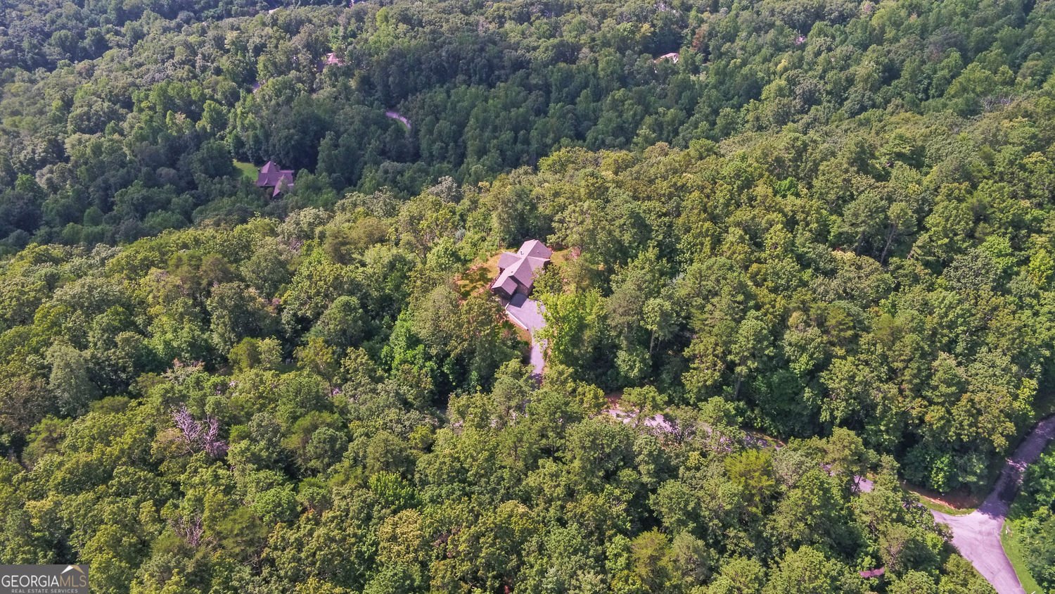 657 Winding View Trail Clayton - 42