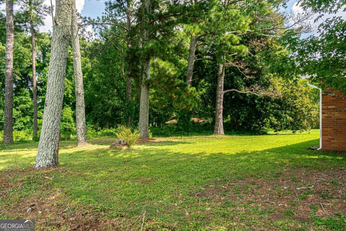 2280 Pope Road Douglasville - 22