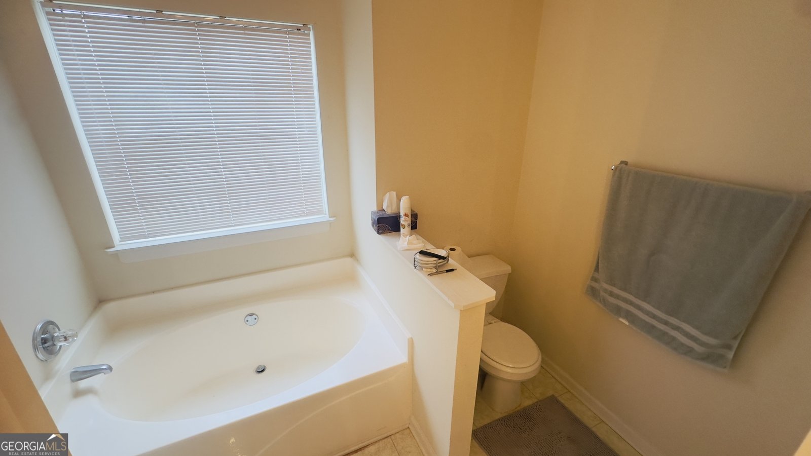 2564 Barndale Drive Lawrenceville - 22