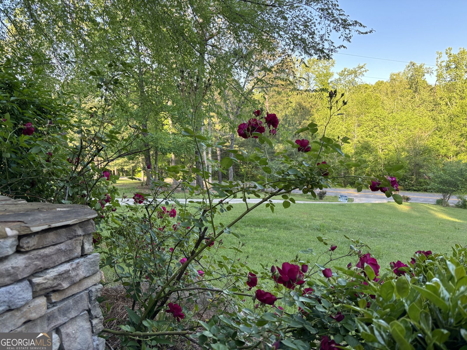 501 South River Drive Jackson - 59
