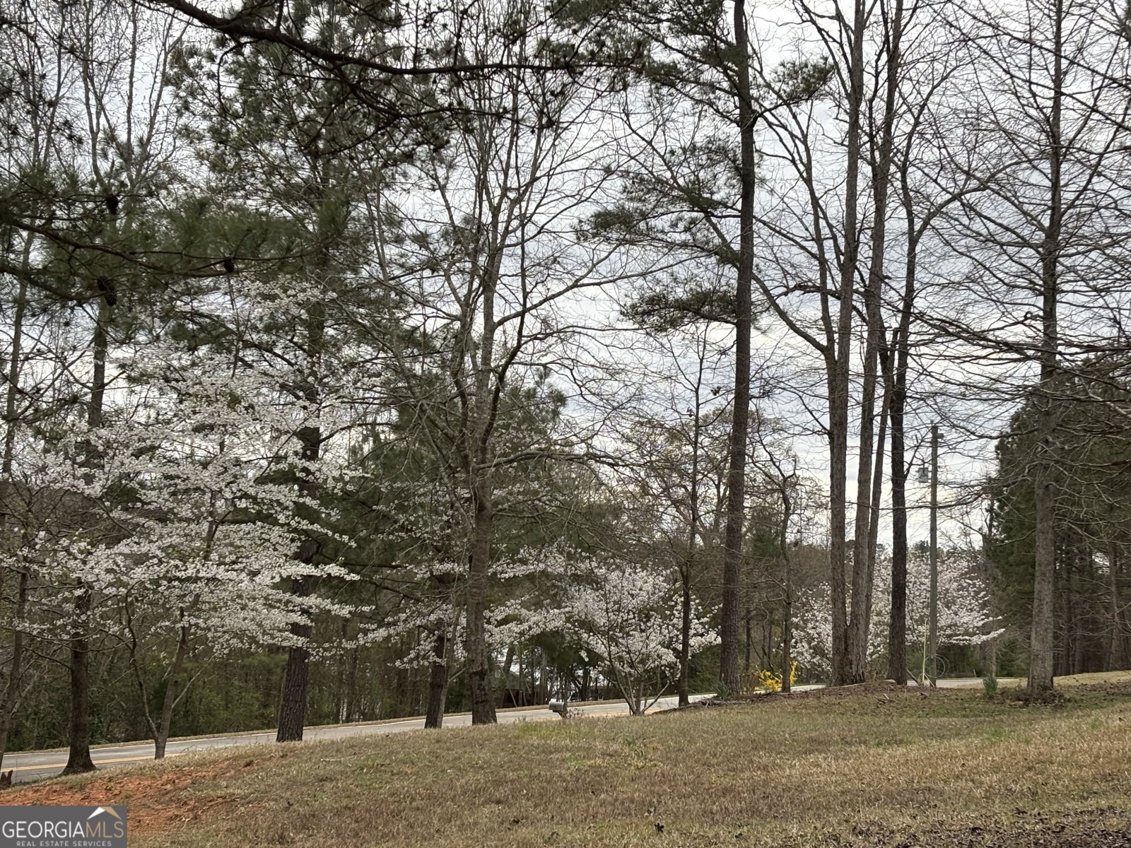 501 South River Drive Jackson - 71