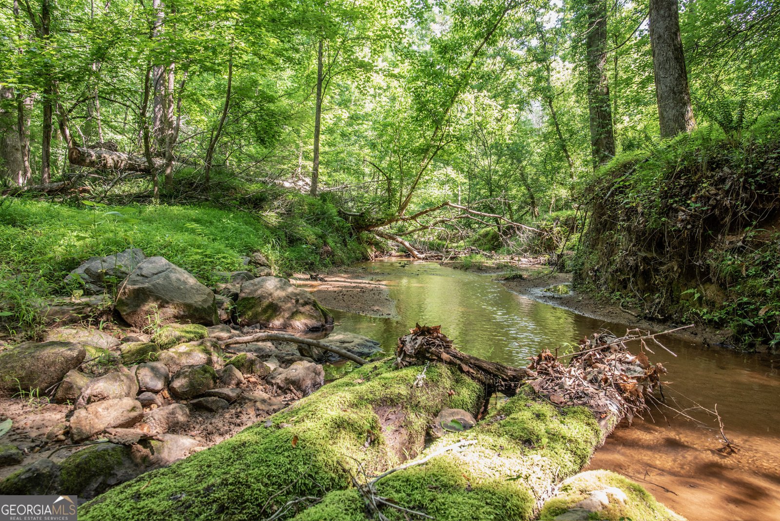 2720 Doster Road Madison - 47