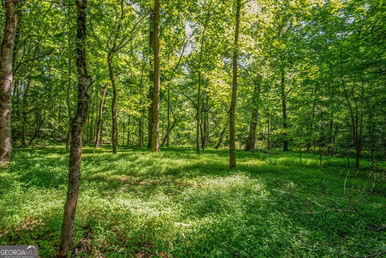 2720 Doster Road Madison - 48