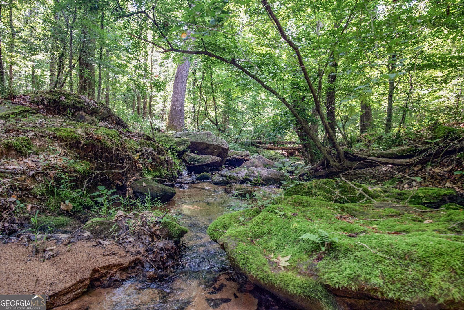 2720 Doster Road Madison - 52