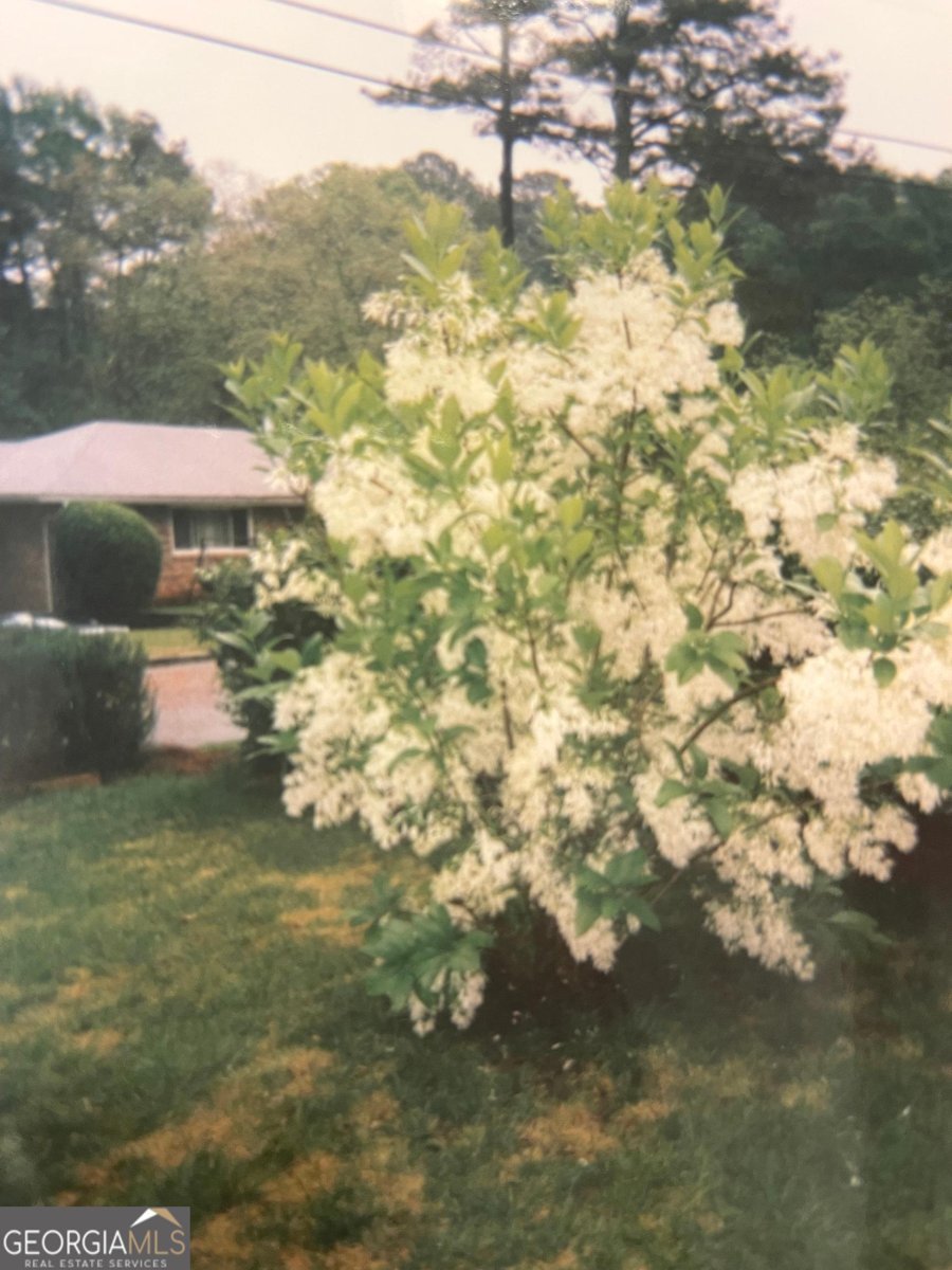 1818 Briarlake Circle Decatur - 31
