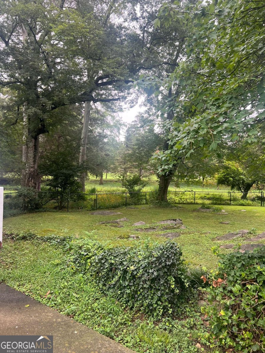 421 Wissahickon Avenue Cedartown - 34