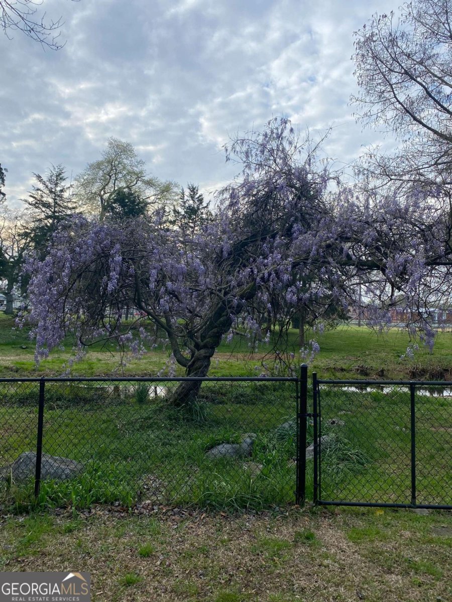 421 Wissahickon Avenue Cedartown - 46