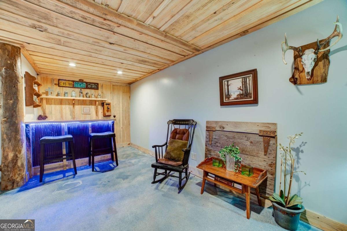 1514 Villa Drive Ellijay - 27