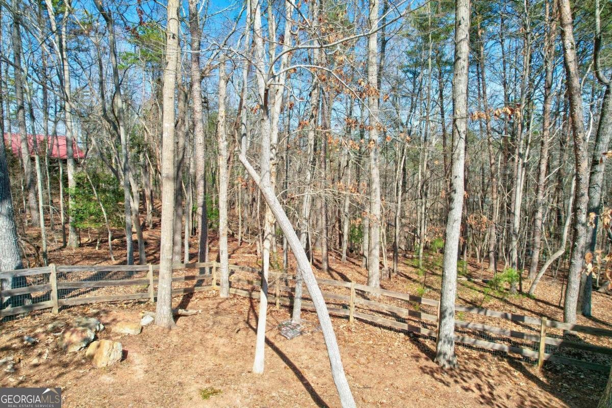 1514 Villa Drive Ellijay - 46