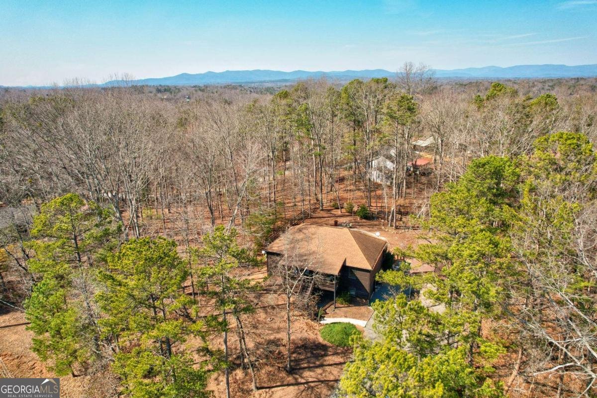 1514 Villa Drive Ellijay - 48