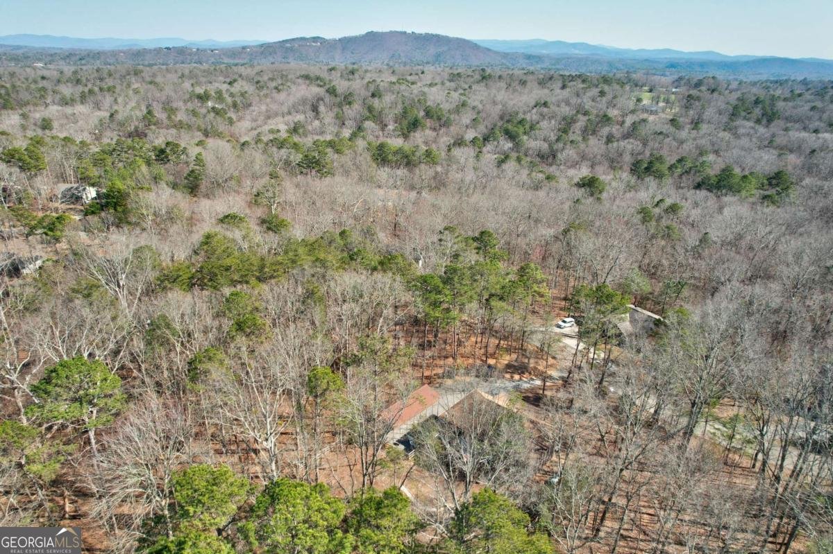 1514 Villa Drive Ellijay - 49