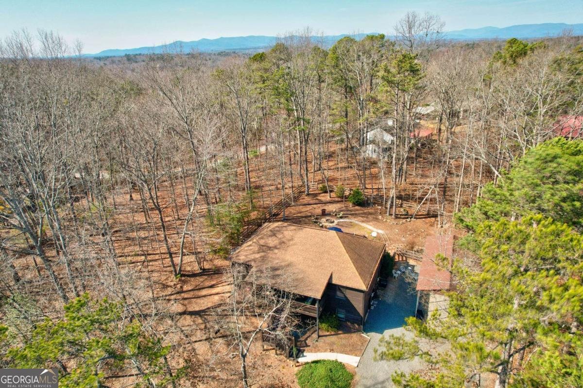 1514 Villa Drive Ellijay - 5