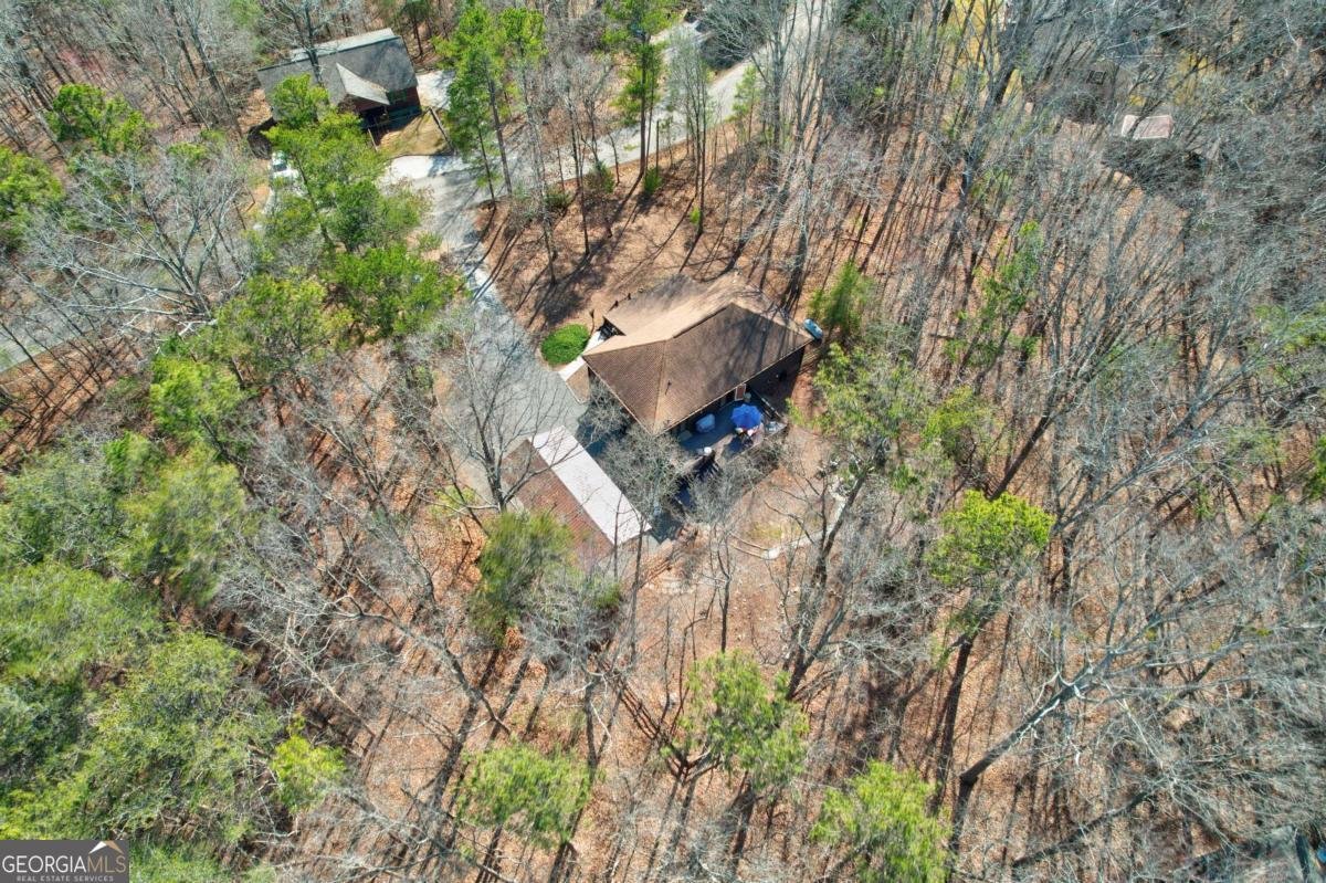 1514 Villa Drive Ellijay - 51