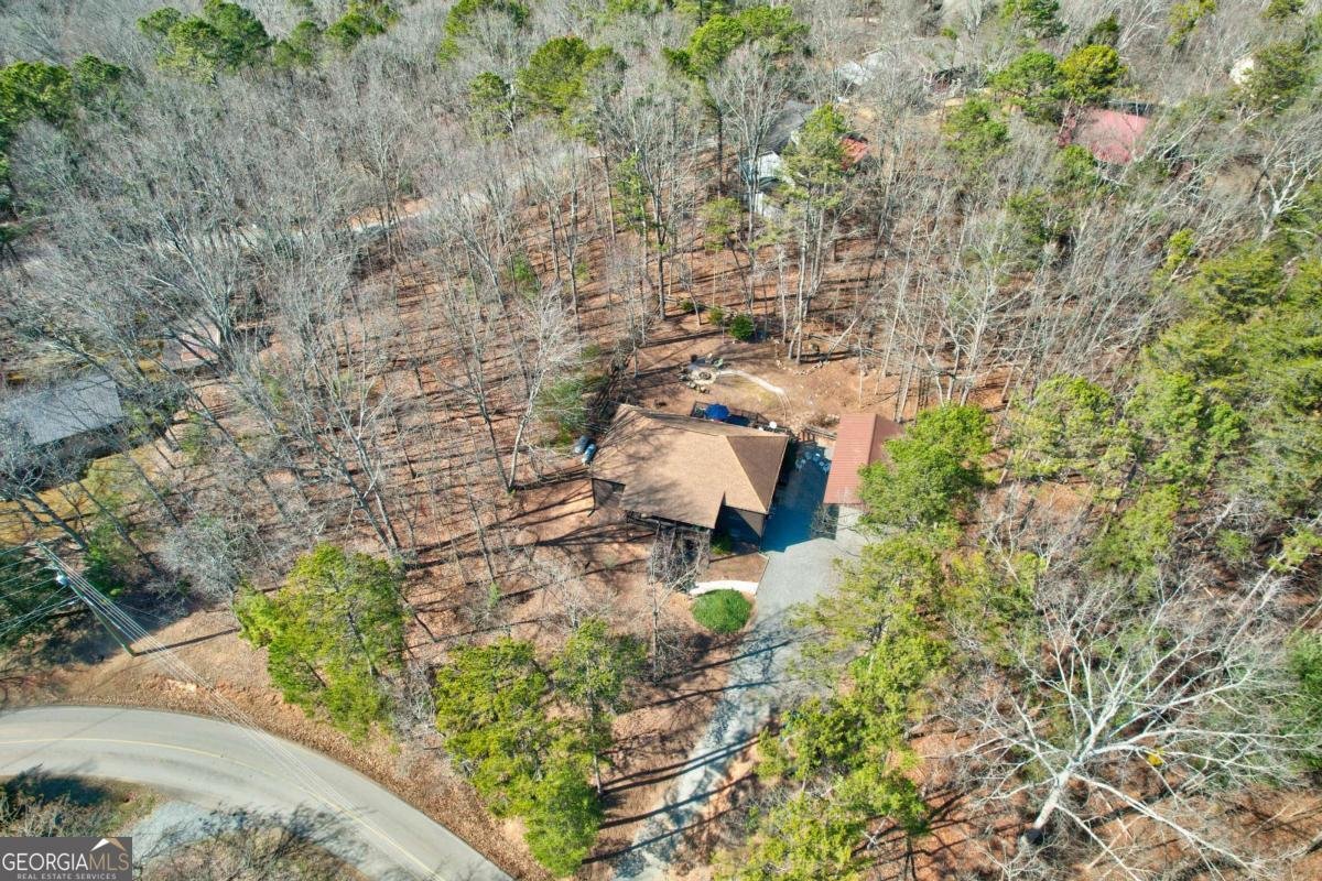 1514 Villa Drive Ellijay - 53