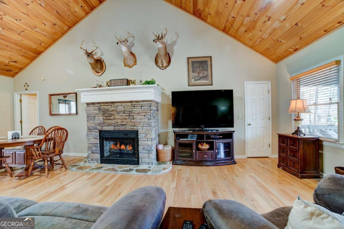 1514 Villa Drive Ellijay - 6