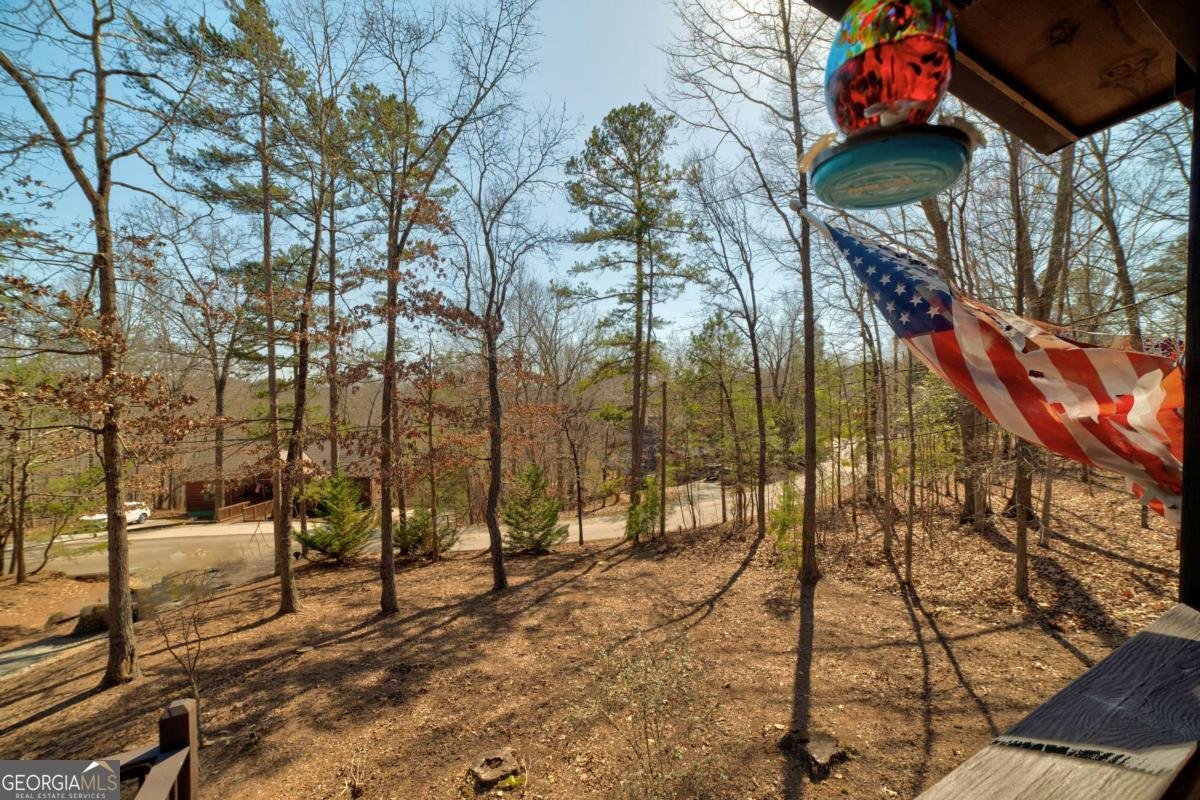 1514 Villa Drive Ellijay - 64