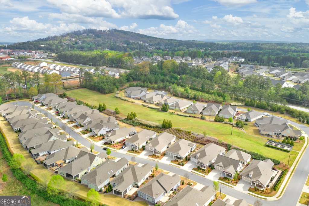 807 Bridget Walk Powder Springs - 28