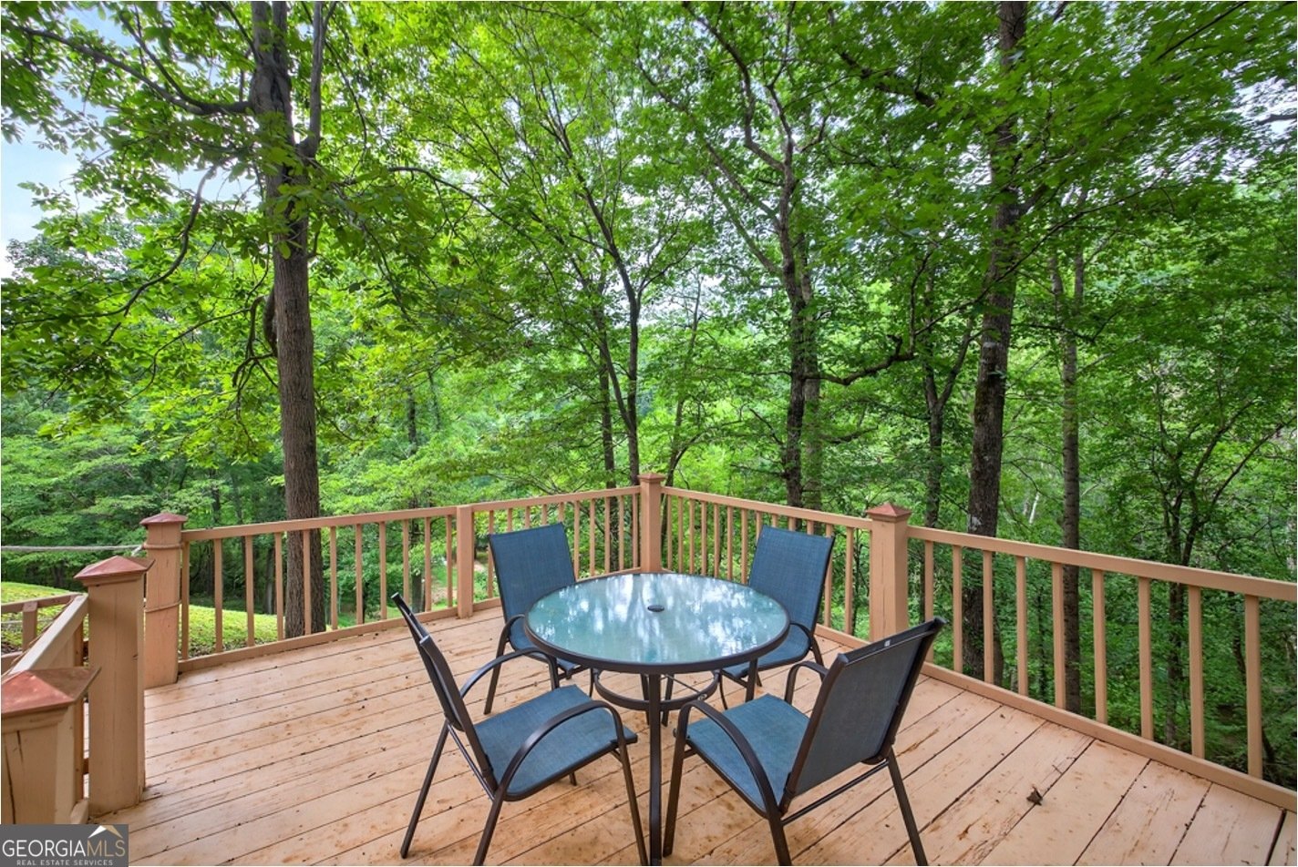 3821 North Rivercrest Drive Gainesville - 35