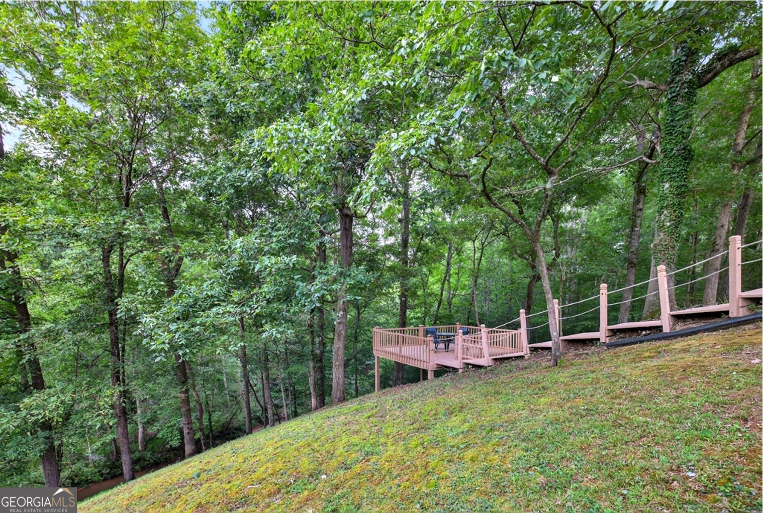 3821 North Rivercrest Drive Gainesville - 42