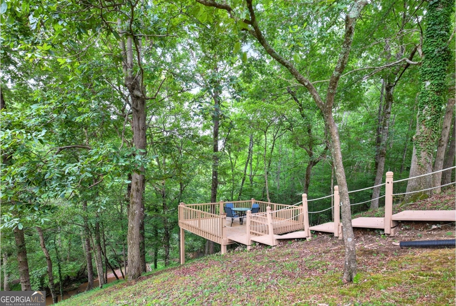 3821 North Rivercrest Drive Gainesville - 43