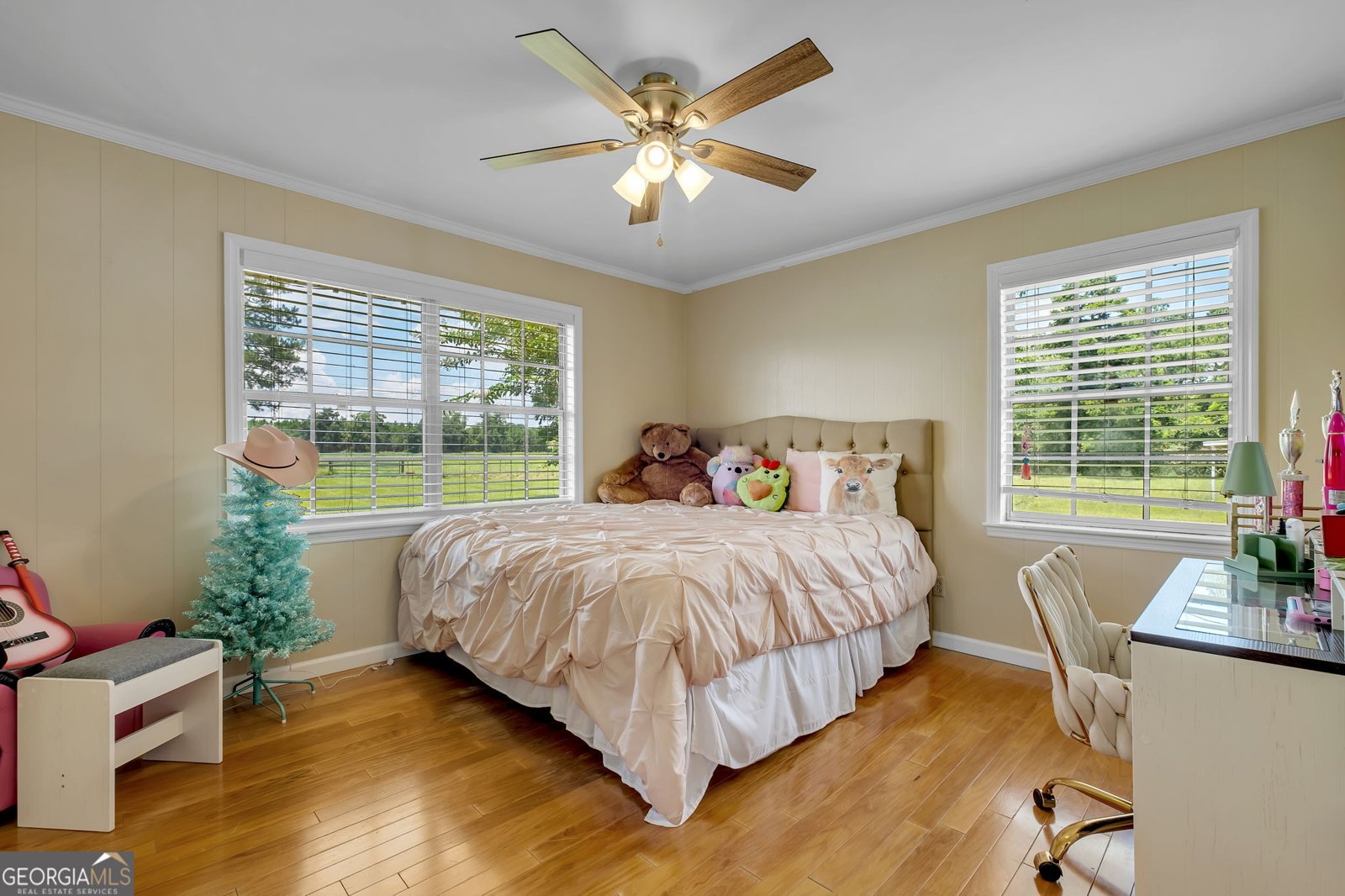 171 Council Lane Cairo - 10