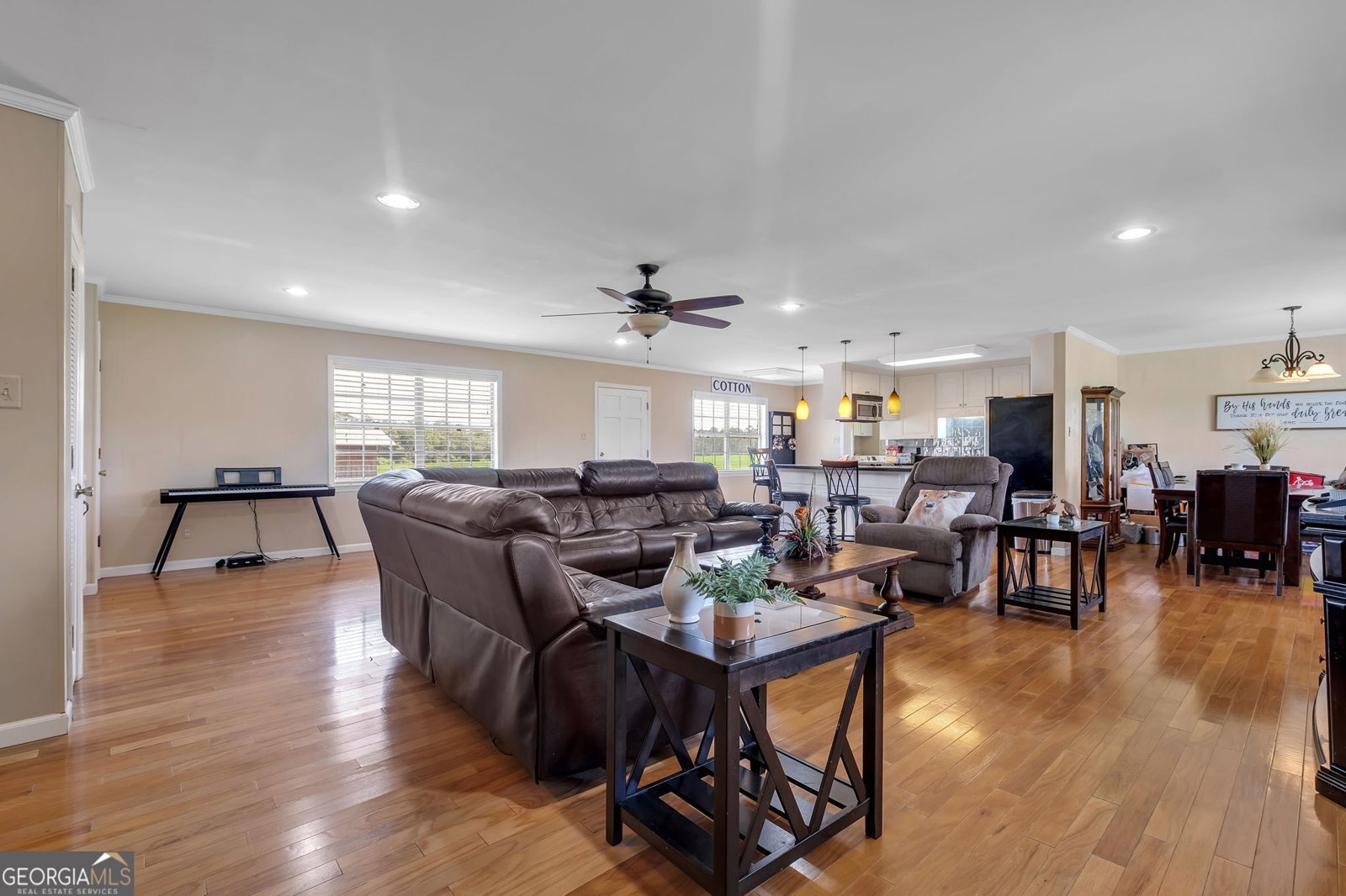 171 Council Lane Cairo - 17