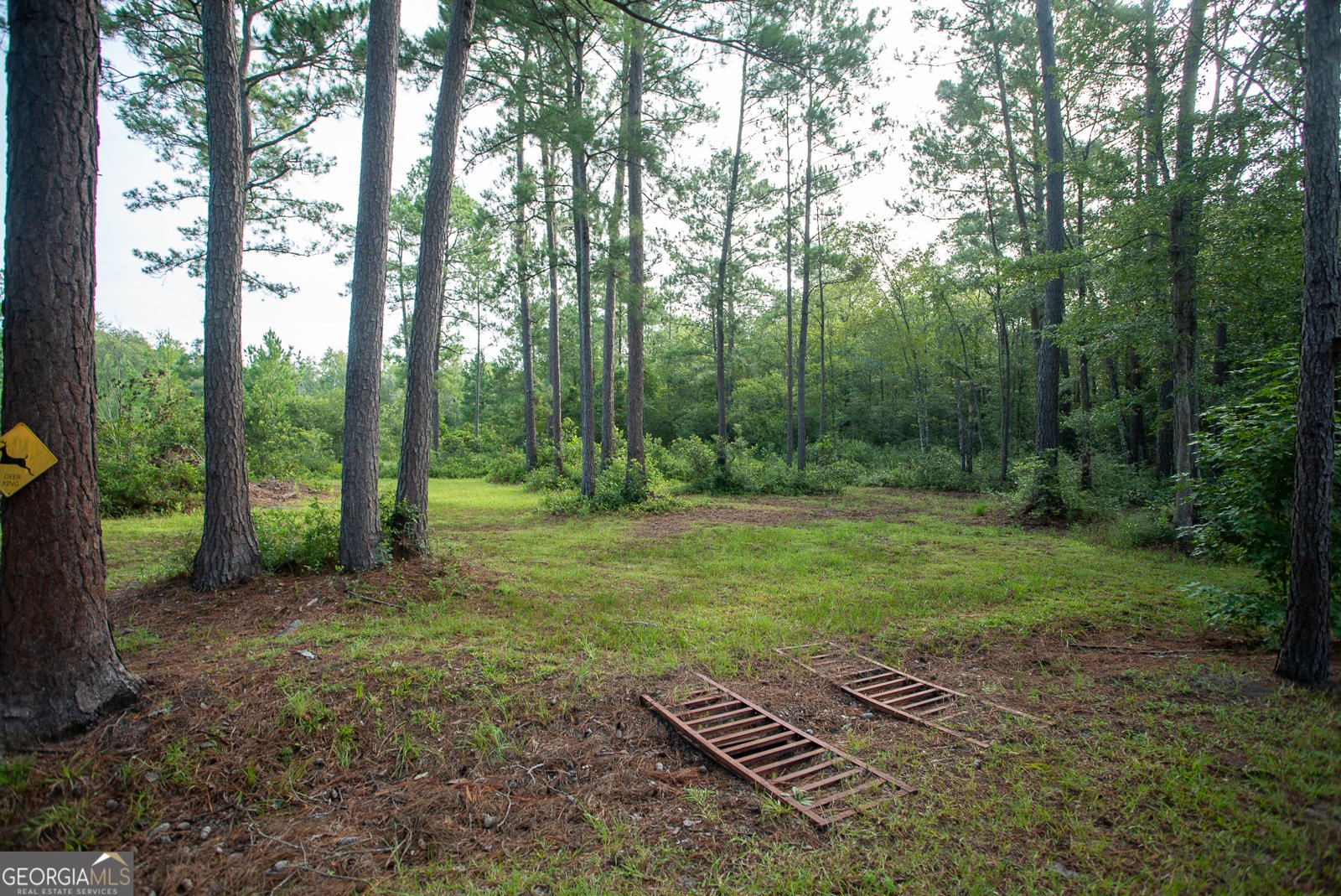 1278 Arthur Nuburn Road Brooklet - 5