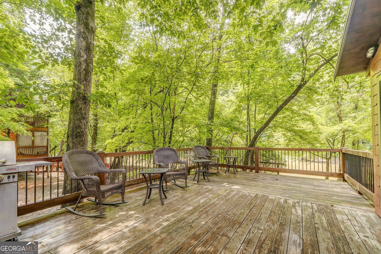 648 Novena Court Ellijay - 11