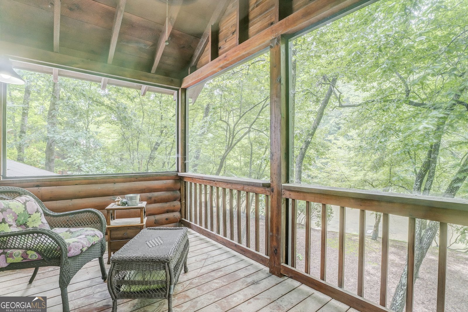648 Novena Court Ellijay - 44